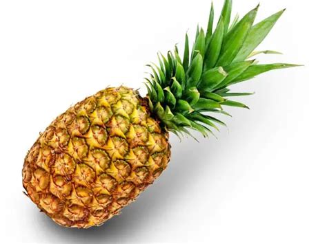 Random Fruit Generator.